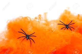 Tela d'aranya amb dos aranyes 20g