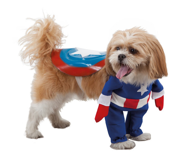 Disfressa Super Heroe per gos